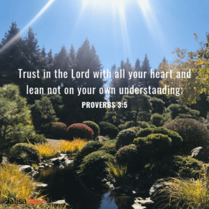 Proverbs 3:5 scripture
